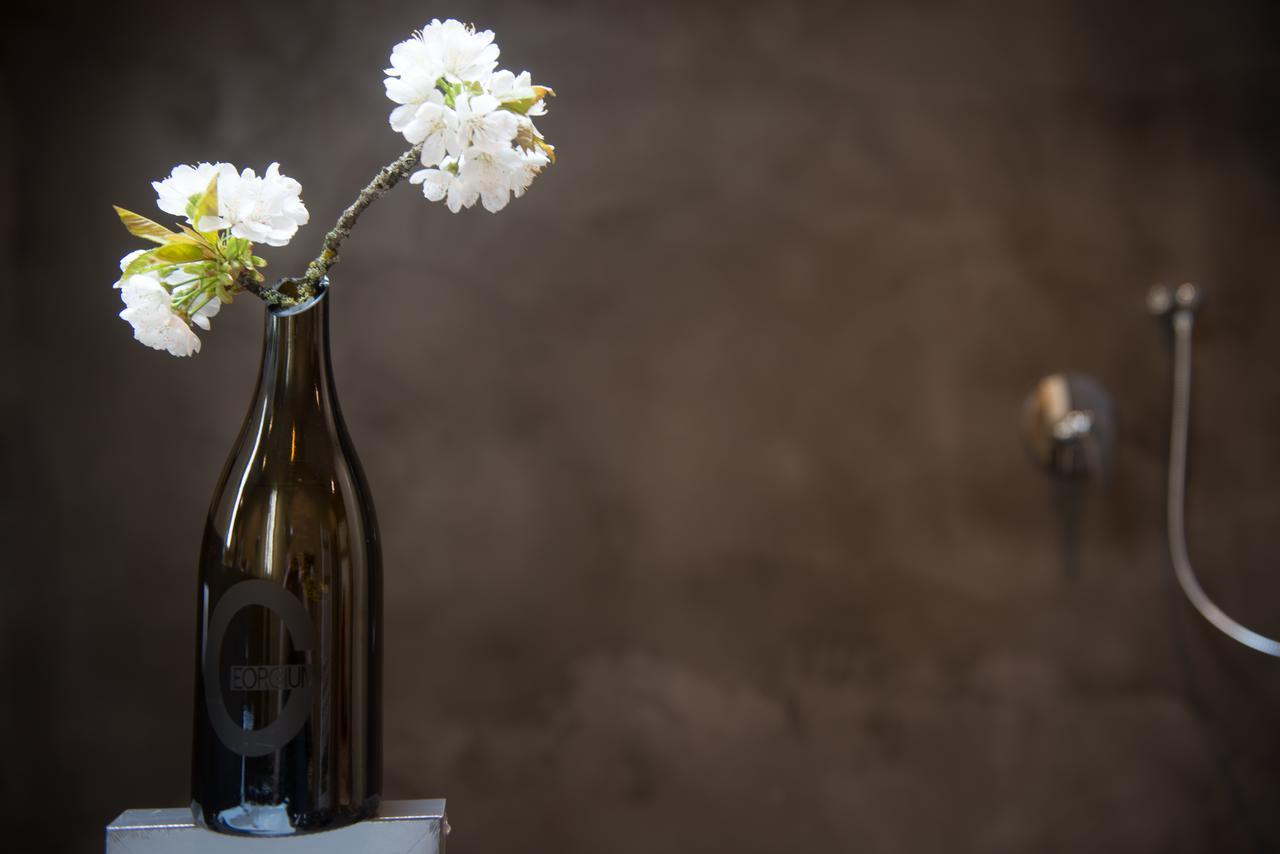 Sankt Georgen am Längsee Weingut Georgium Bed & Breakfast エクステリア 写真