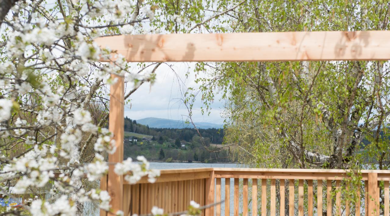 Sankt Georgen am Längsee Weingut Georgium Bed & Breakfast エクステリア 写真