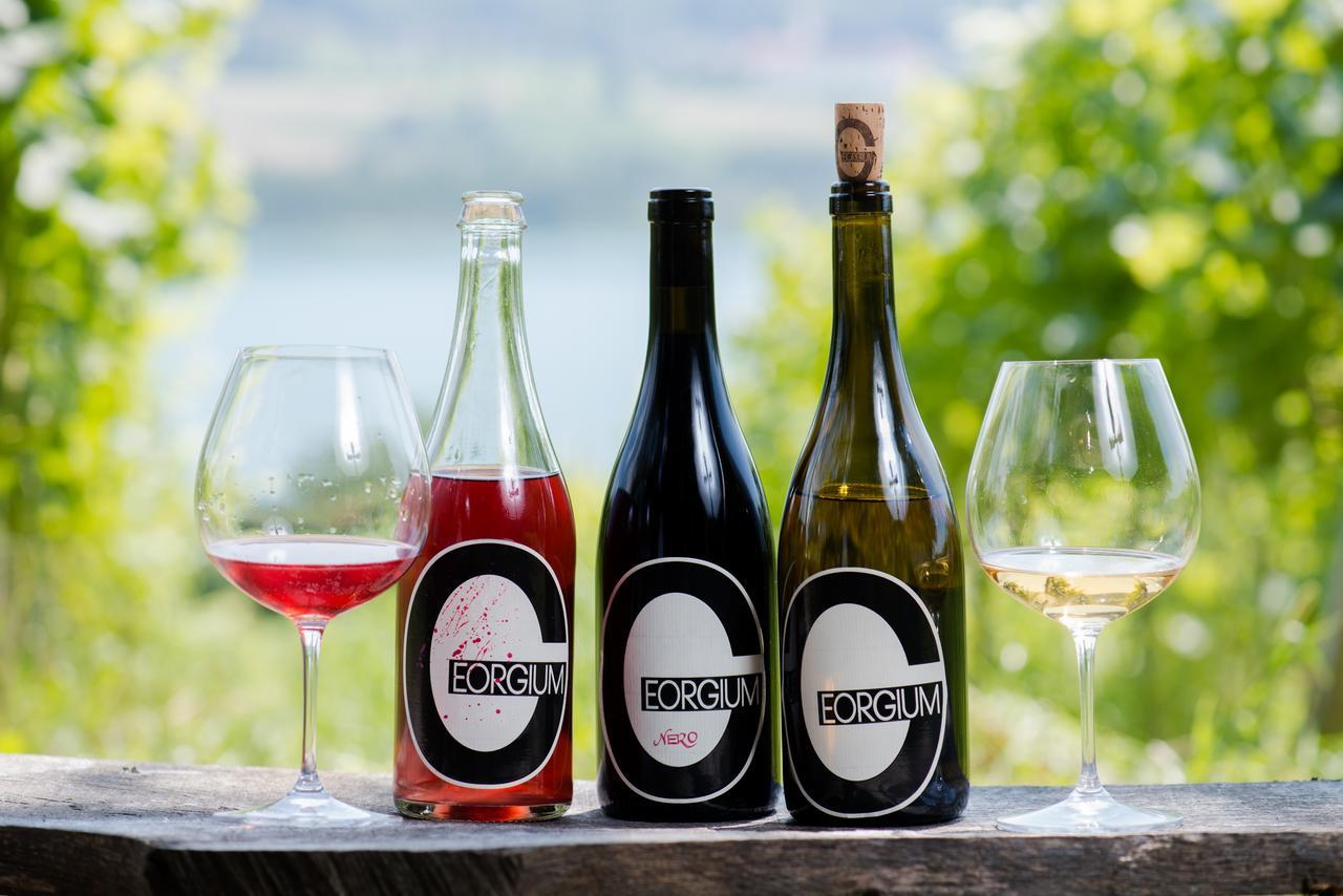 Sankt Georgen am Längsee Weingut Georgium Bed & Breakfast エクステリア 写真