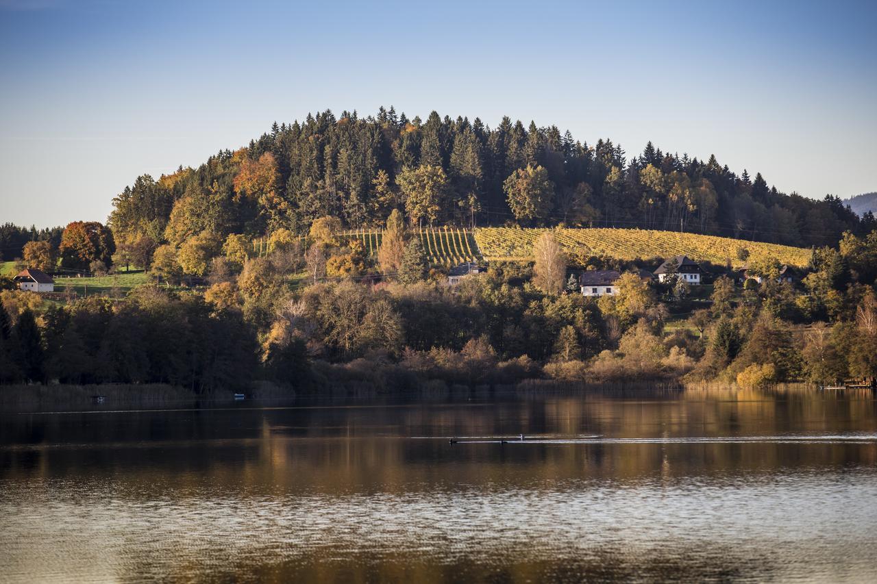 Sankt Georgen am Längsee Weingut Georgium Bed & Breakfast エクステリア 写真
