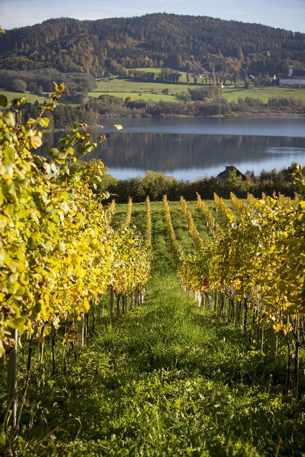 Sankt Georgen am Längsee Weingut Georgium Bed & Breakfast エクステリア 写真